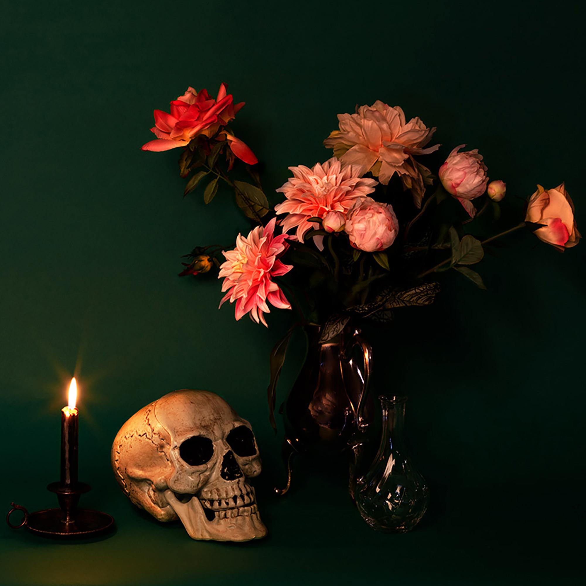 BOLAND  Cranio maxilla bianco con mascella mobile 