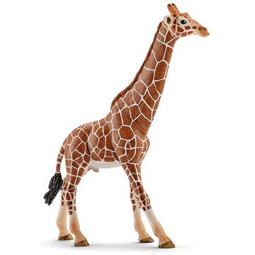 14749 Girafe mâle