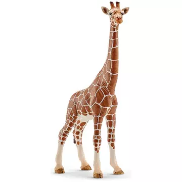 14750 Giraffenkuh