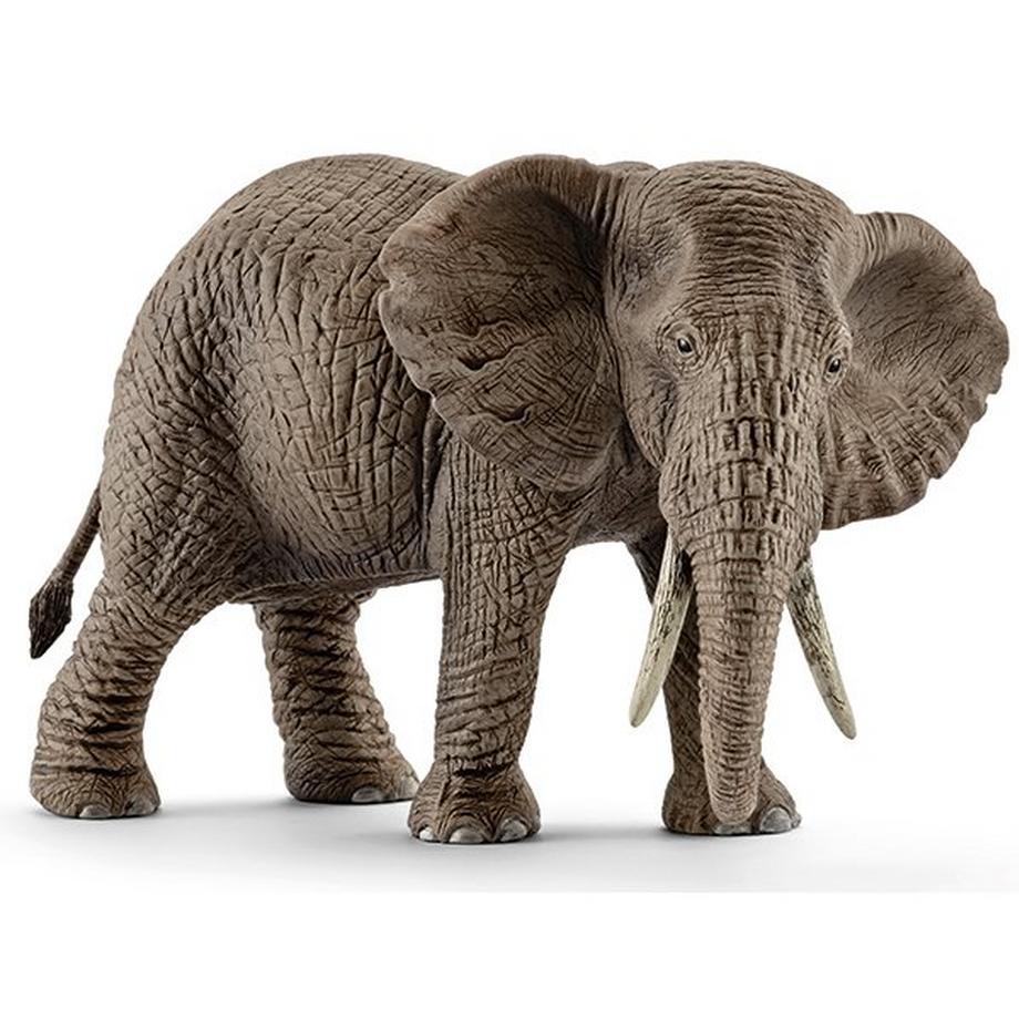 14761 Elefante africano