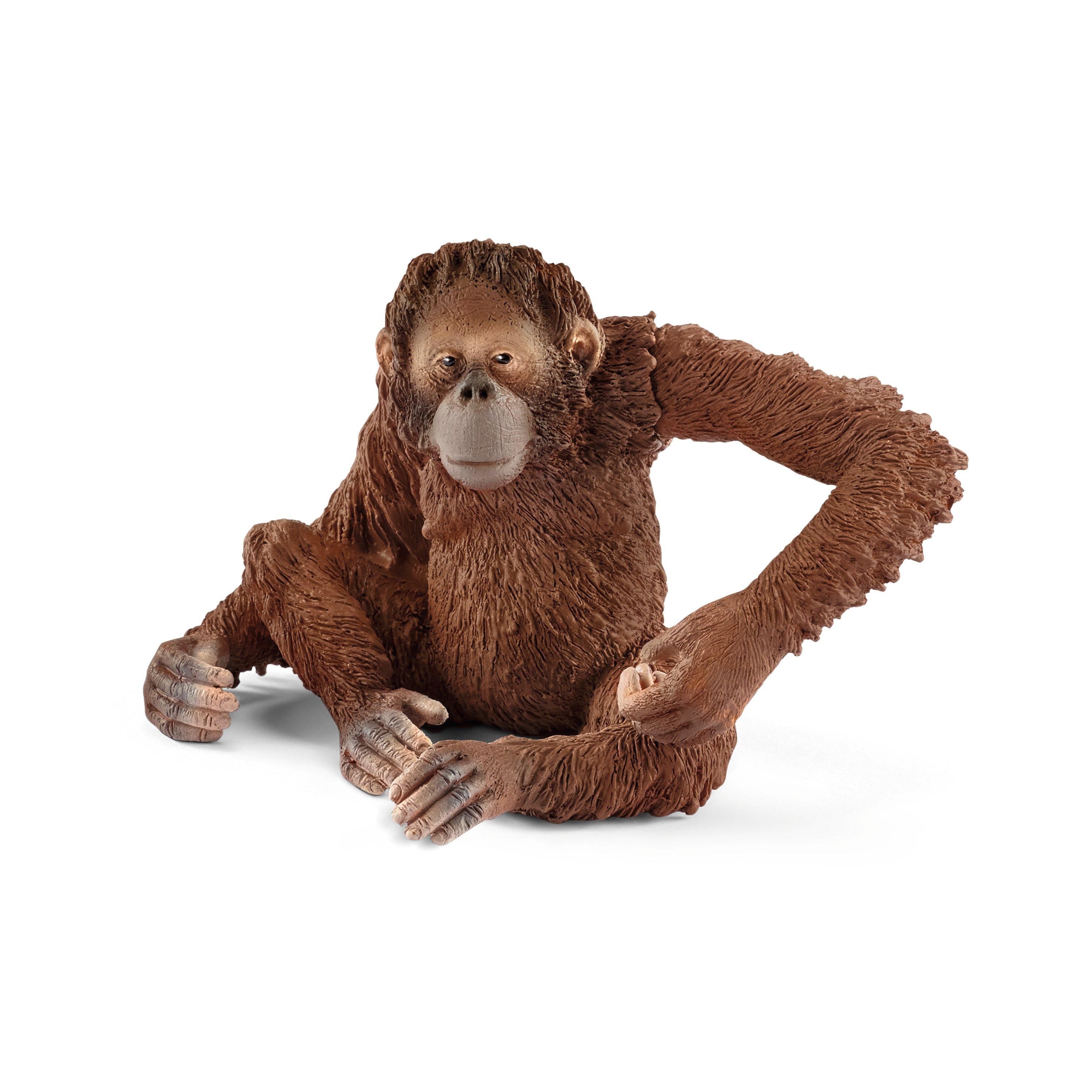 Image of Schleich 14775 Orang-Utan Weibchen