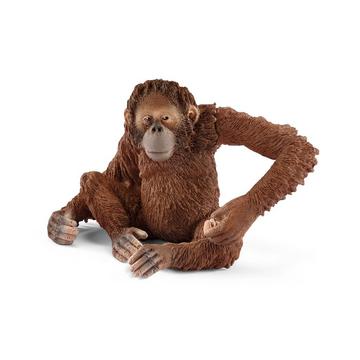 14775 Orang-Utan Weibchen