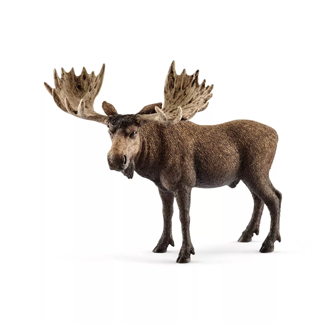 Schleich - 14781 Elch Bulle, Multicolor