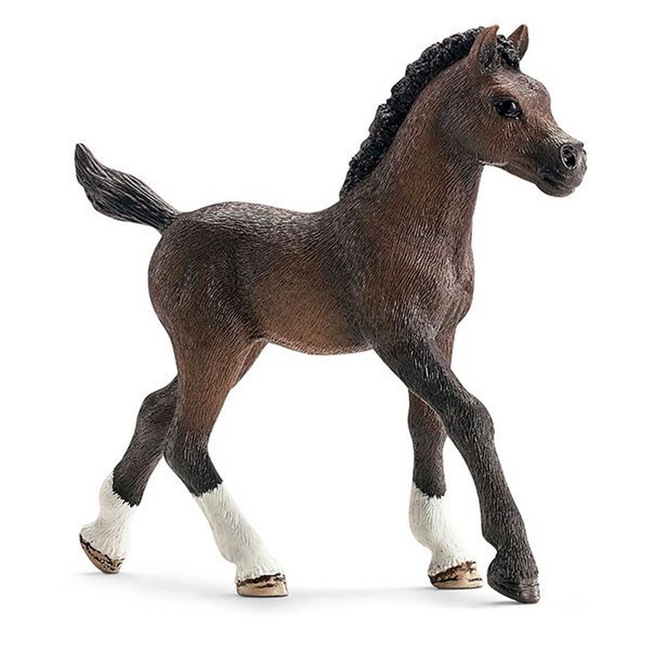 Schleich  13762 Arab, poulain 