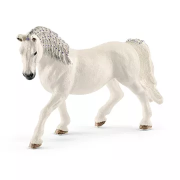 13819 Jument Lipizzan