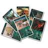Winning Moves  Top Trumps - Dinosaurier, Allemand 