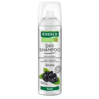RAUSCH Fresh Aerosol Dry Shampoo 