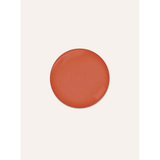 RAUSCH Ecorce de saule Shampooing Spécial 