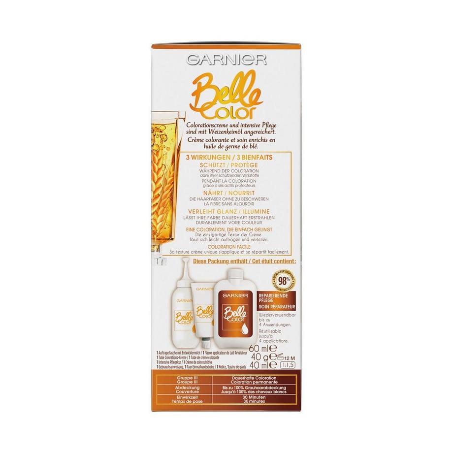 GARNIER  21CHATAIN CLAIR DORE 