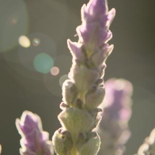 GUCCI Guilty, Eau de Toilette For Him  