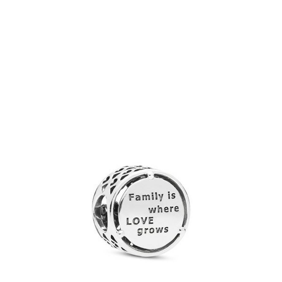 PANDORA Moments Charm 