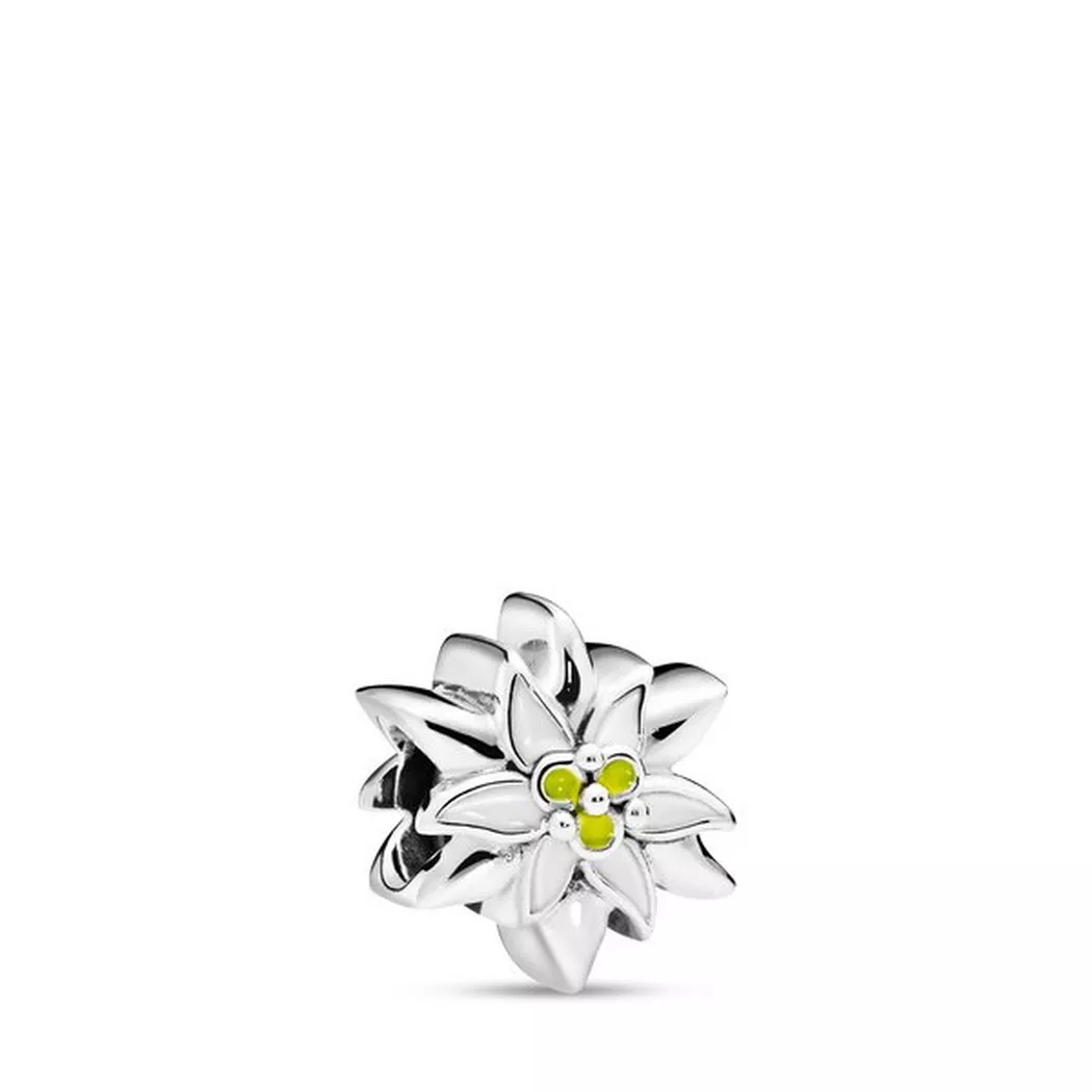 PANDORA Letter W Charm - black  female 6