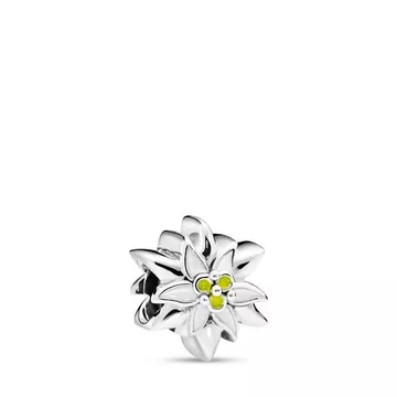 Charm