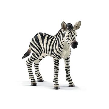 14811 Figura Puledro di zebra