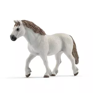 13872 Jument Pony Welsh