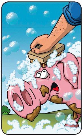 Kosmos  Drecksau - Die tierisch lustige Schlammschlacht, Deutsch 