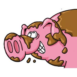 Kosmos  Drecksau - Die tierisch lustige Schlammschlacht, Deutsch 