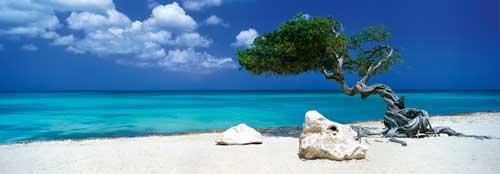 Heye  Puzzle Divi Divi Tree, 1000 Teile 