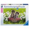 Ravensburger  Puzzle Picknick auf der Wiese, 1000 Teile 