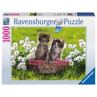 Ravensburger  Puzzle picnic sul prato, 1000 pezzi 