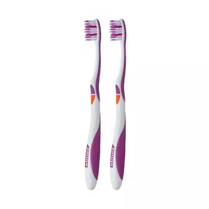 Dentifrice Duo