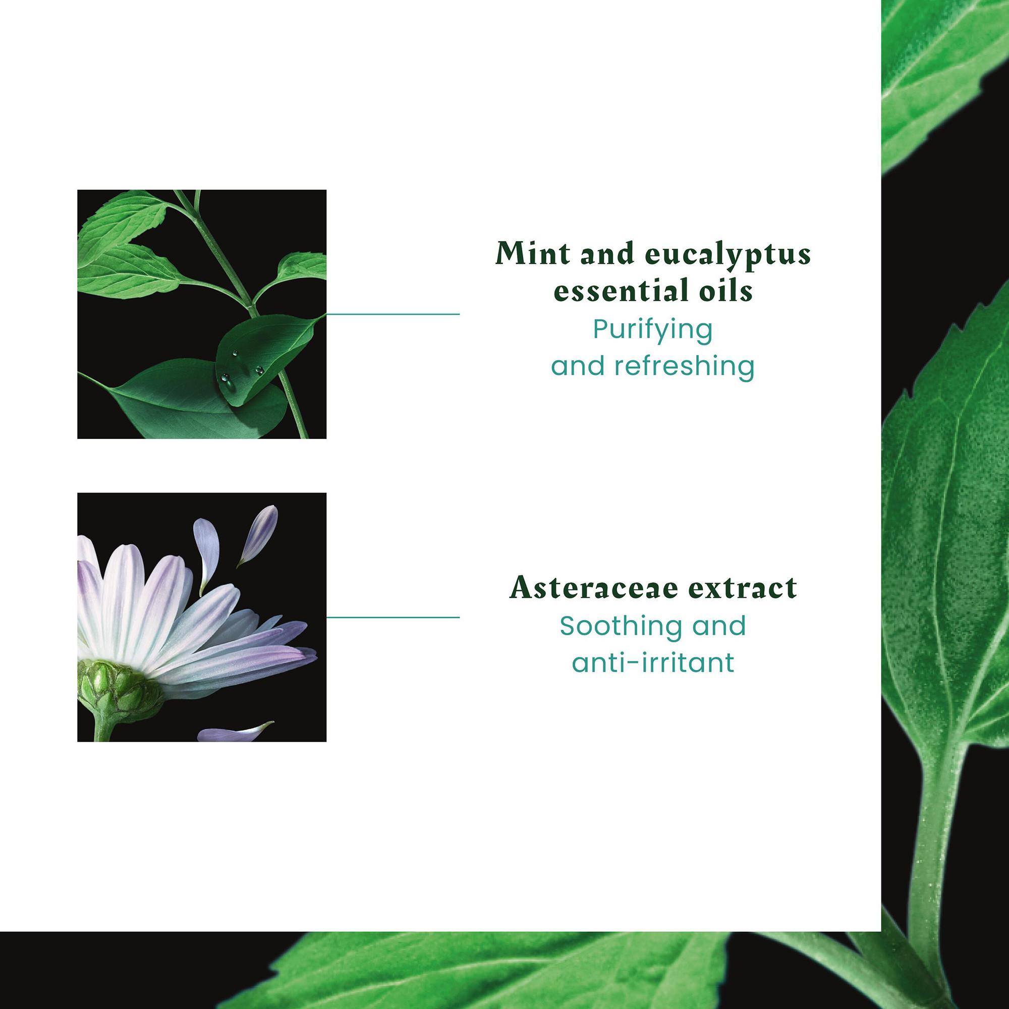 FURTERER Astera Fresh  Beruhigend-Frisches Shampoo  