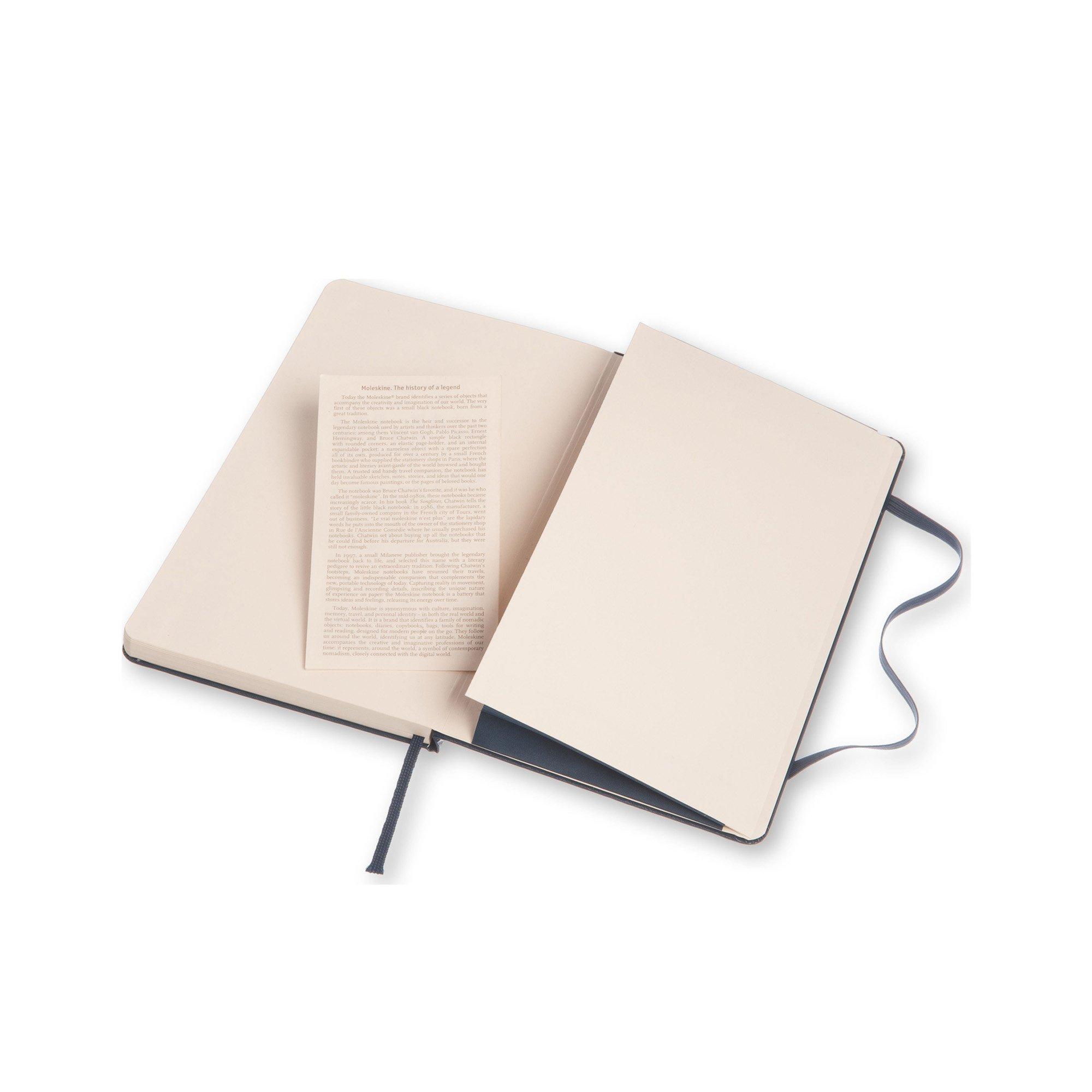 MOLESKINE Notizbuch Large 