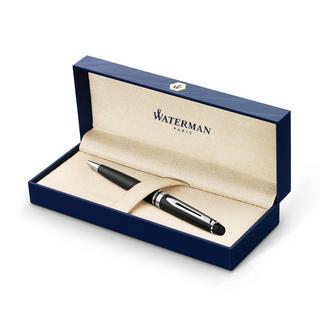 WATERMAN Penna a sfera Expert 