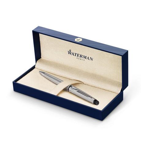 WATERMAN Penna a sfera Expert 