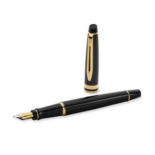 WATERMAN Penna stilografica Expert 