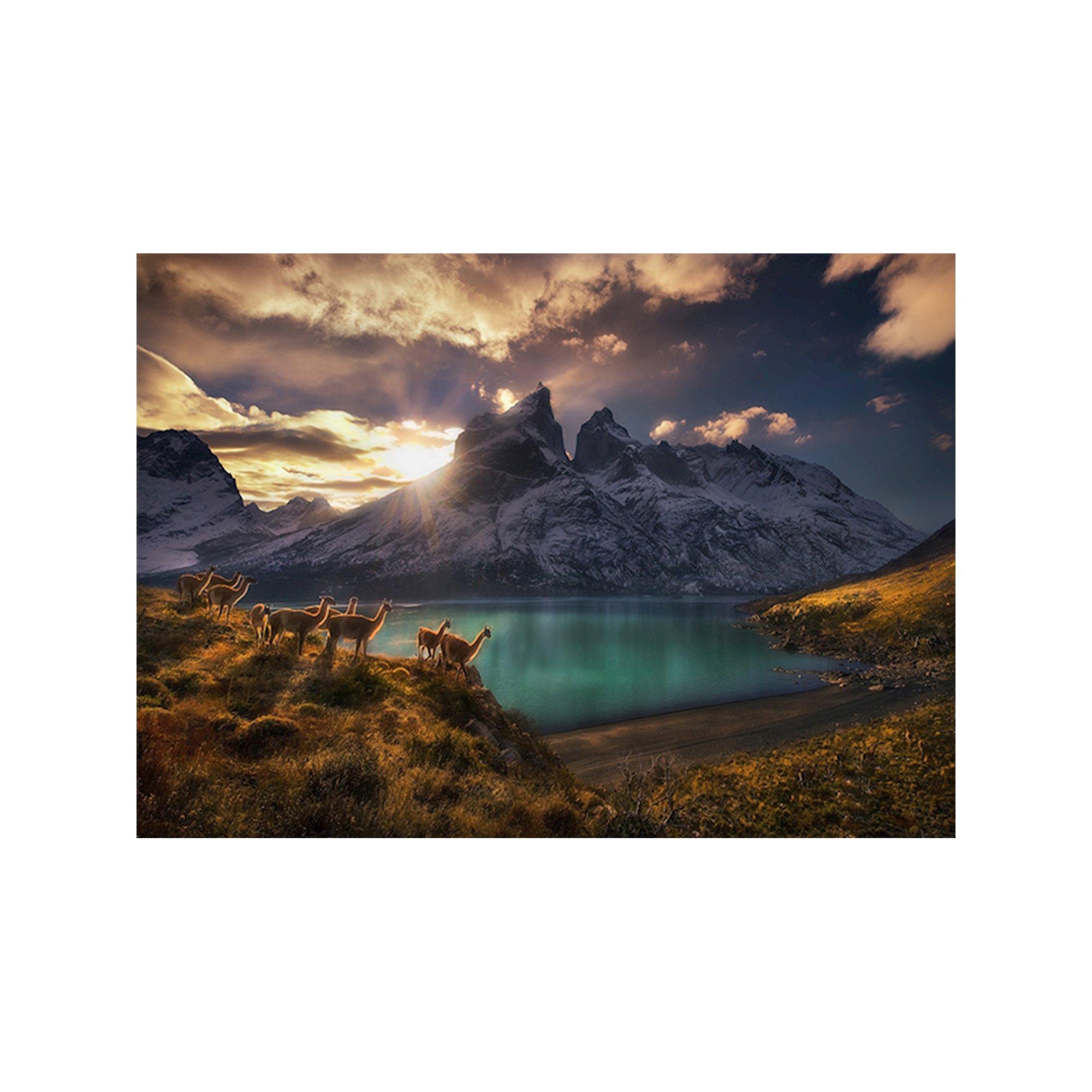 Heye  Guanacos Standard 1000 pièces 