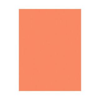 STEWO INTERNATIONAL Carta da regalo  