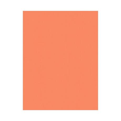 STEWO INTERNATIONAL Carta da regalo  