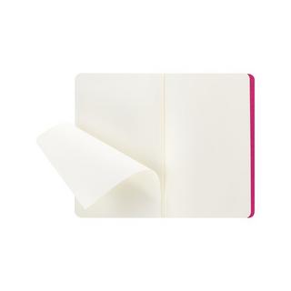 MOLESKINE Carnet de notes Cahier Large 