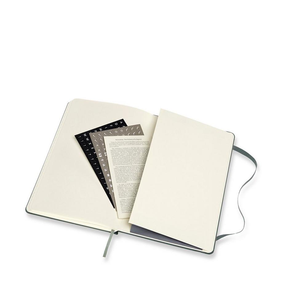 MOLESKINE Notizbuch Hardcover Pro 