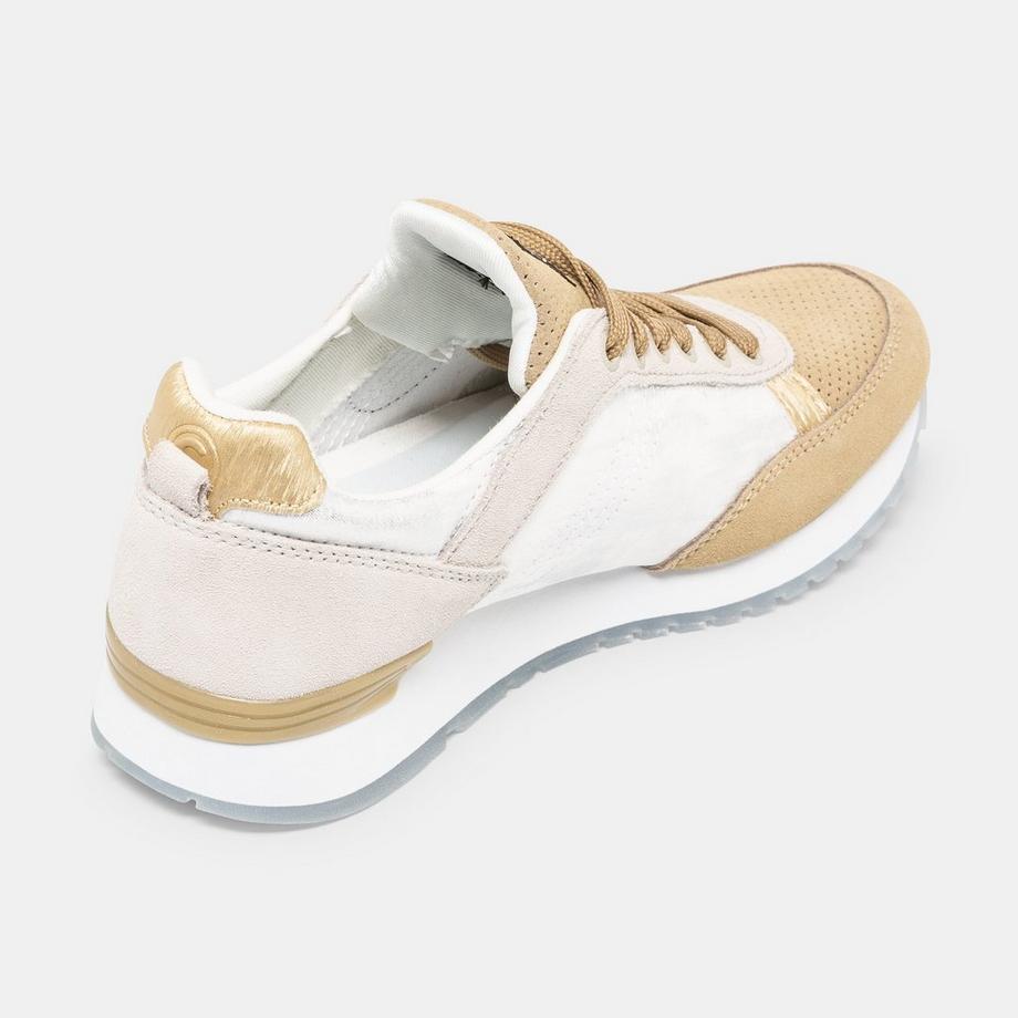 Colmar  Sneakers basse 