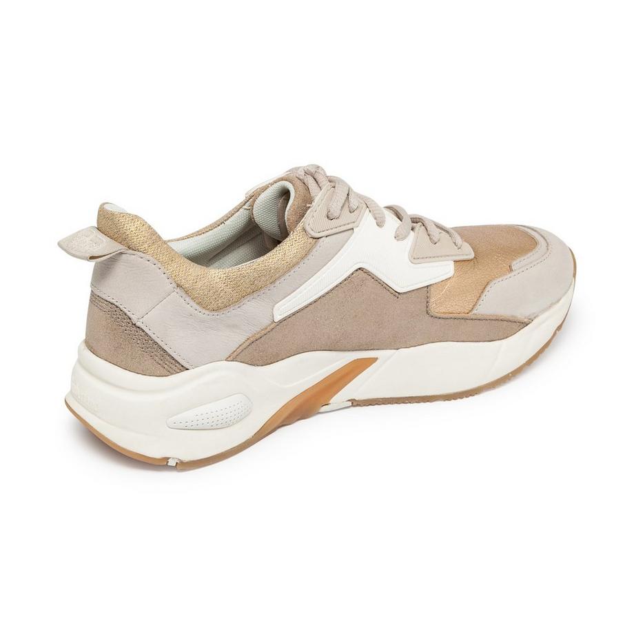 Timberland  Sneakers basse 