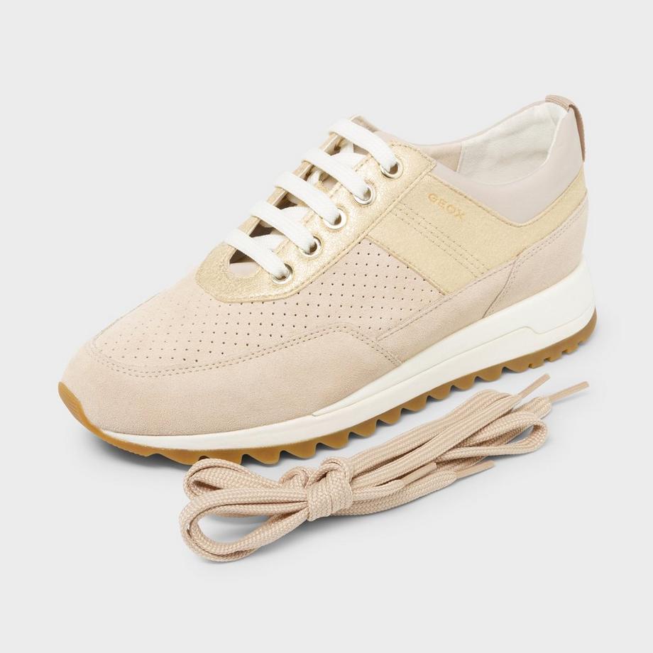 GEOX  Sneakers basse 