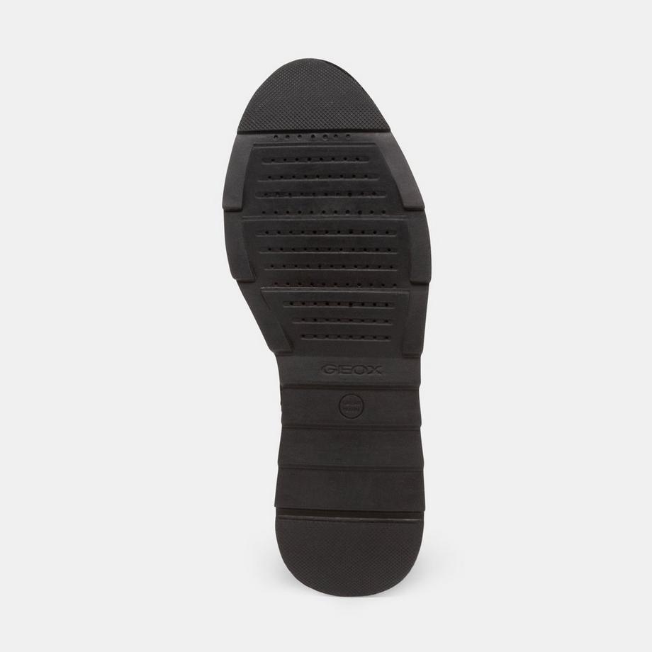 GEOX  Sneakers basse 