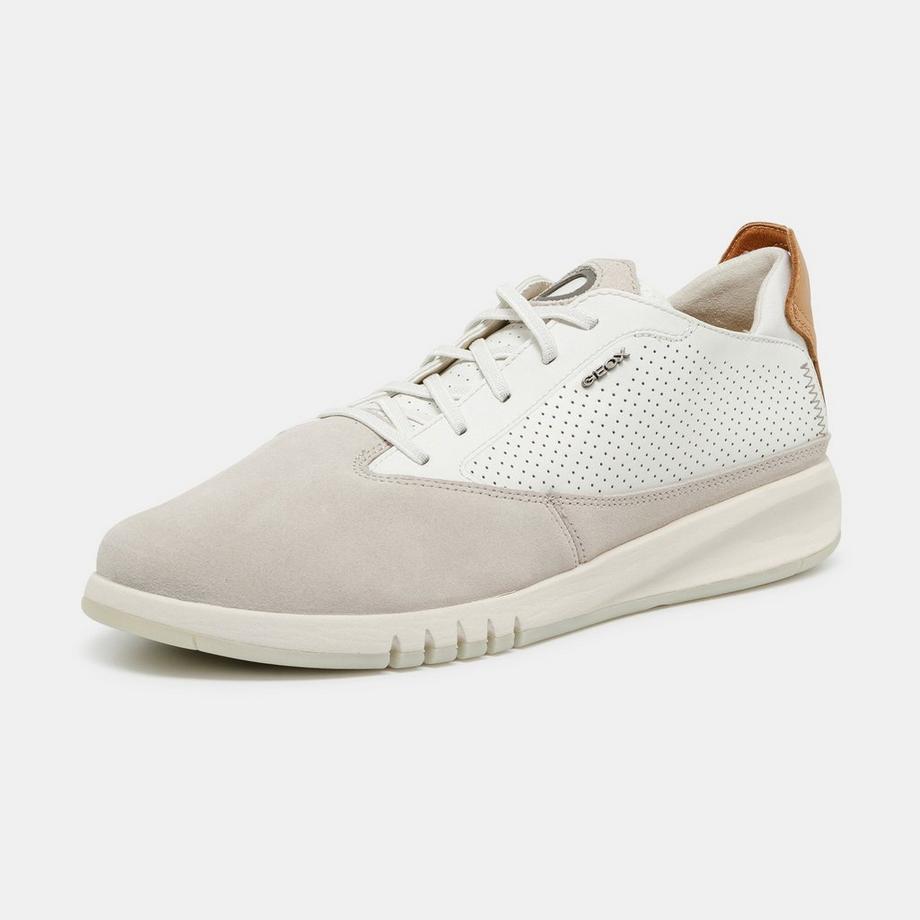 GEOX  Sneakers, Low Top 