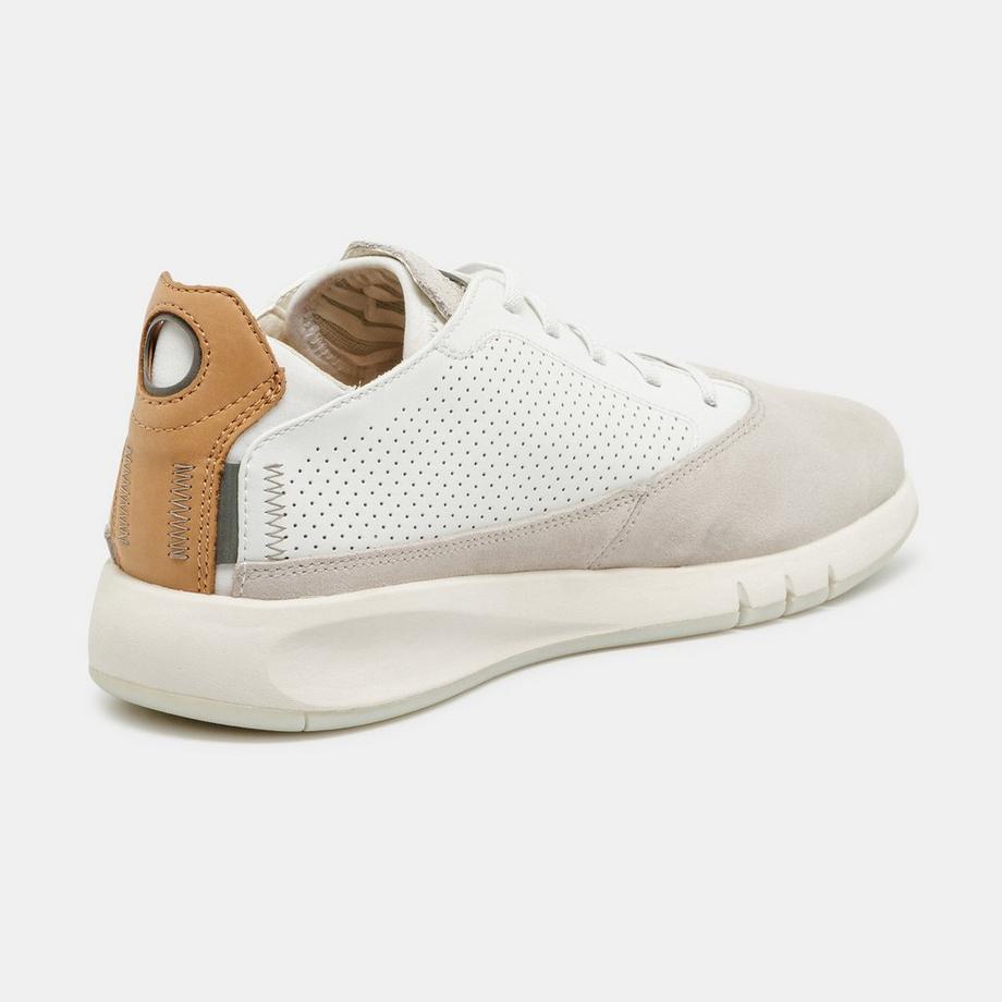 GEOX  Sneakers, Low Top 