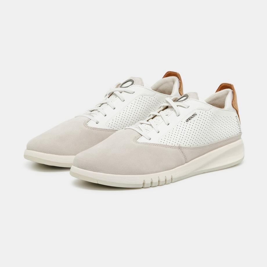 GEOX  Sneakers, Low Top 