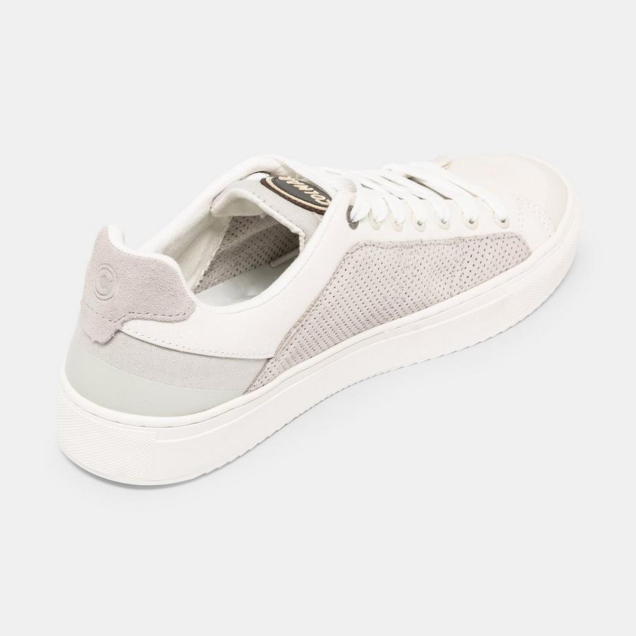 Colmar  Sneakers, basses 