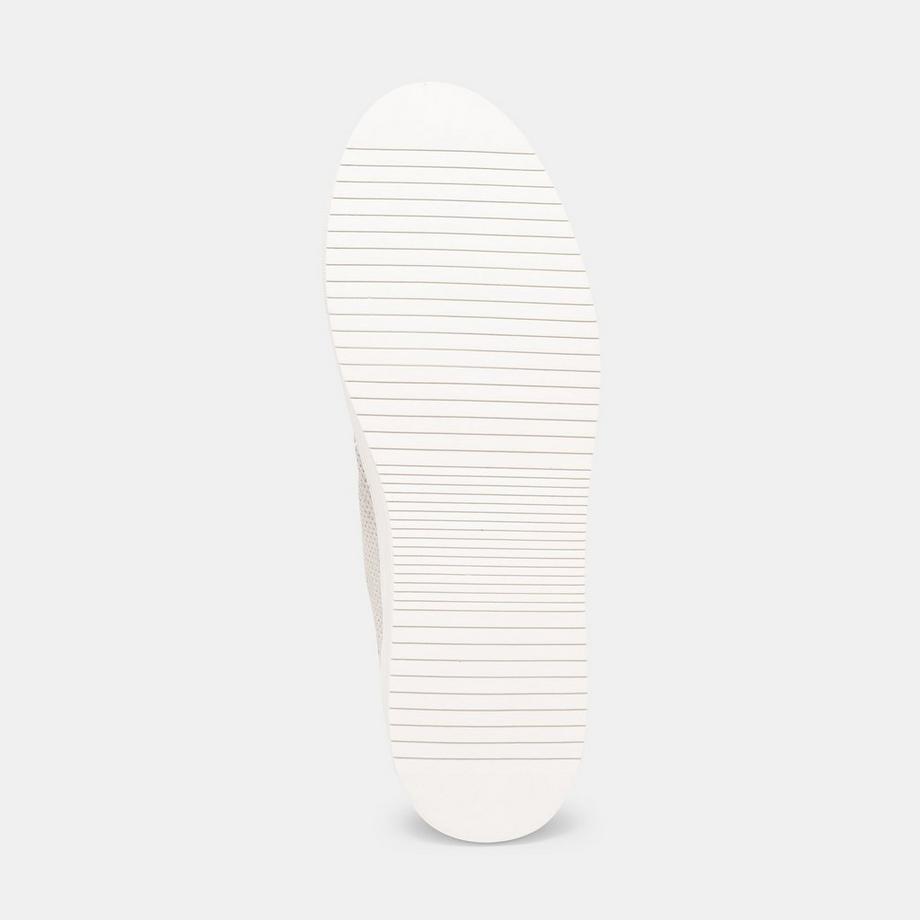 Colmar  Sneakers, basses 