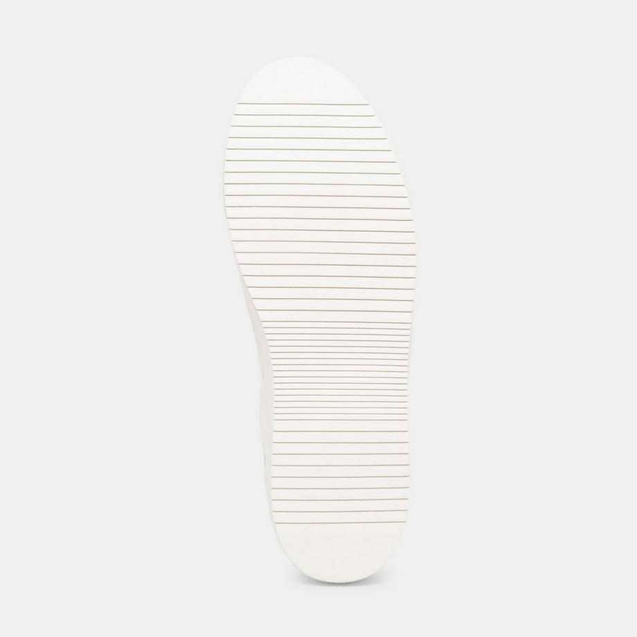 Colmar  Sneakers basse 