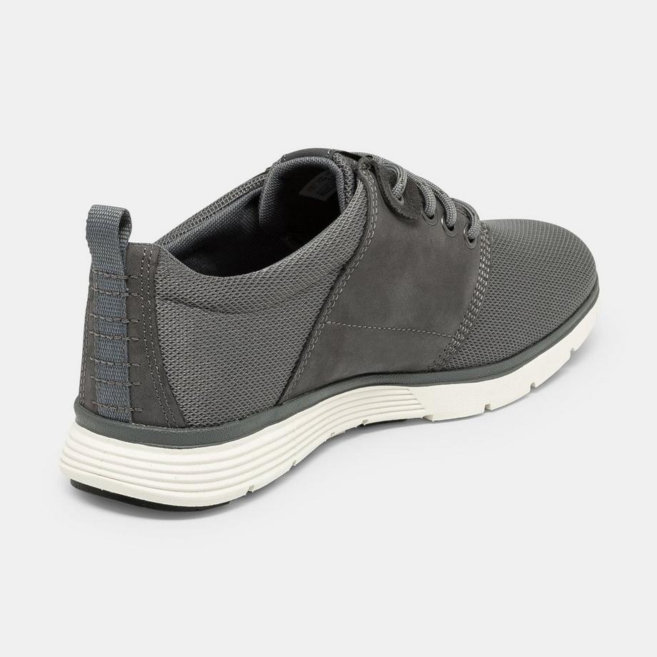 Timberland  Sneakers, basses 