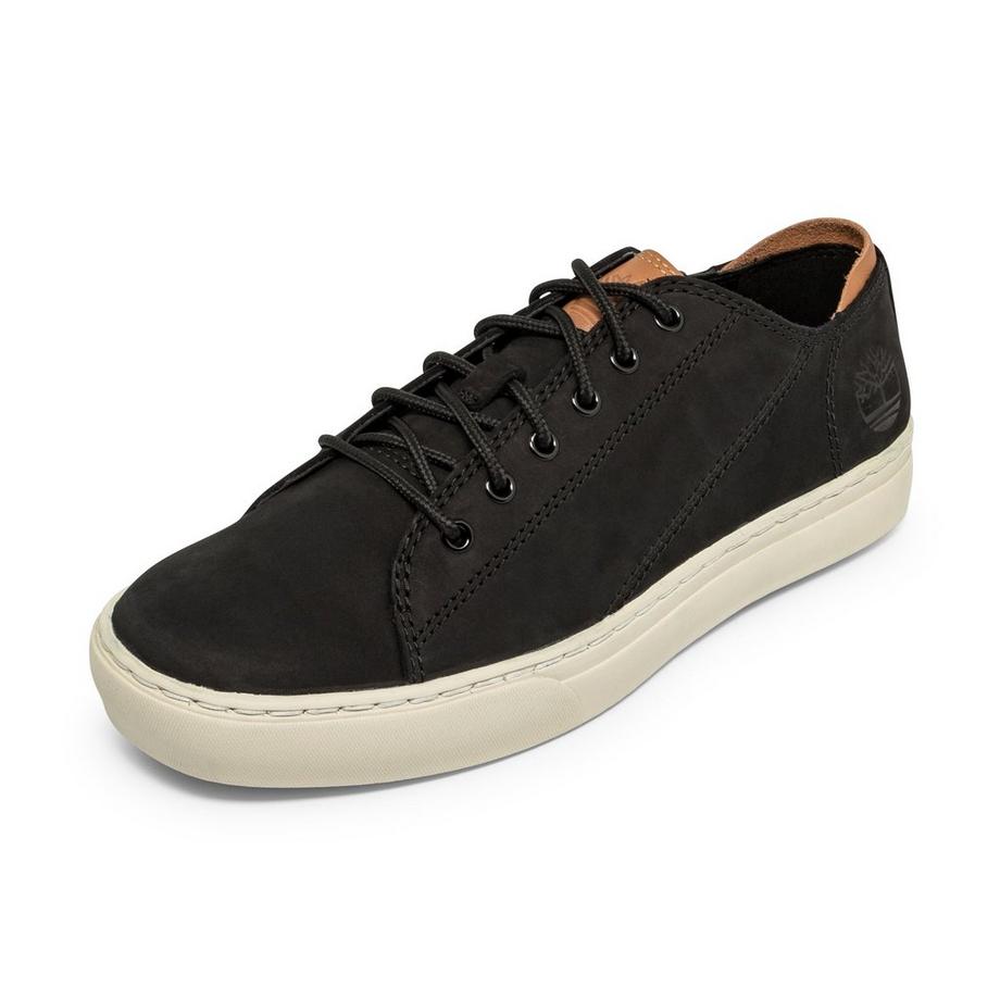 Timberland  Sneakers basse 