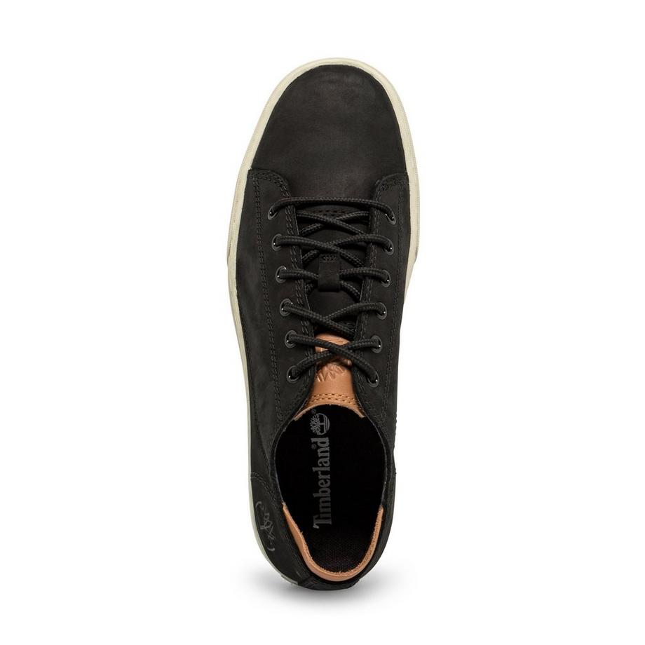 Timberland  Sneakers basse 