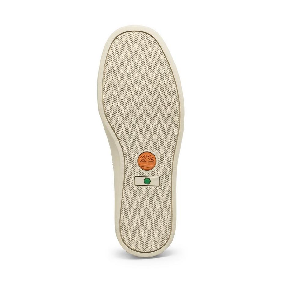 Timberland  Sneakers basse 