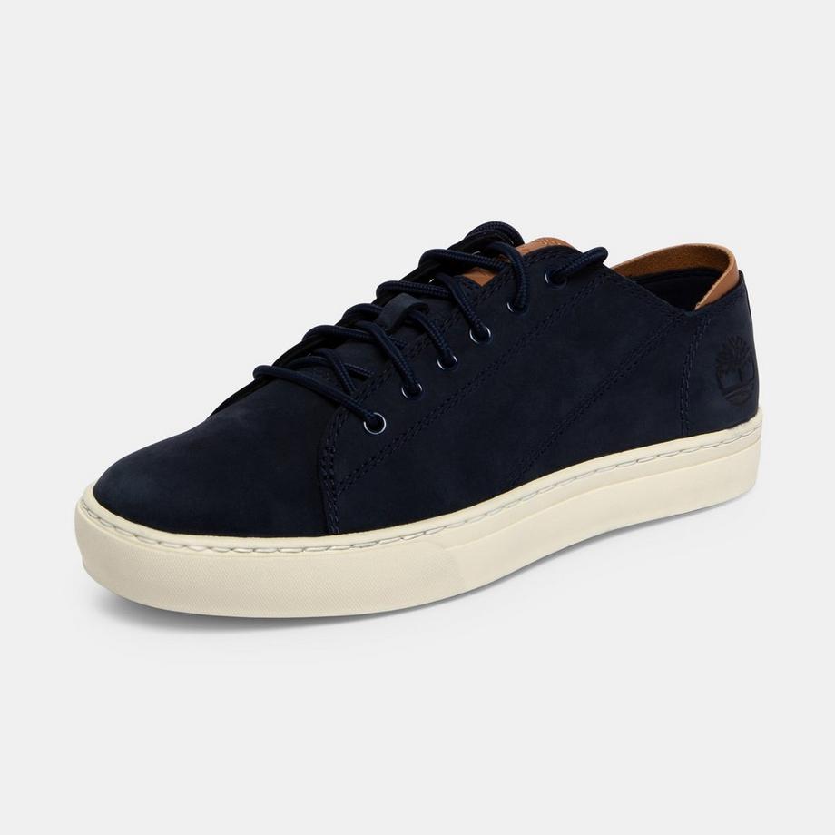 Timberland  Sneakers basse 